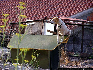 Primošten (Chorvatsko)