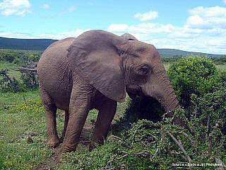 Jihoafrická republika