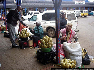 Jihoafrická republika