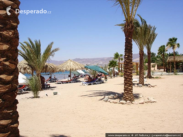 Barracuda Beach (Jordánsko)