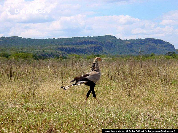 Nakuru (Keňa)