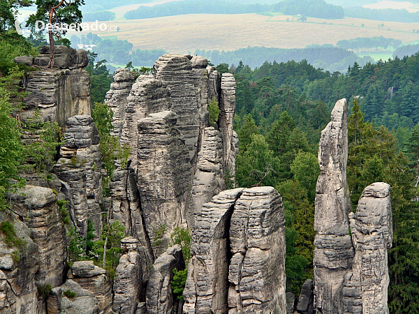 Prachovské skály (Česká republika)