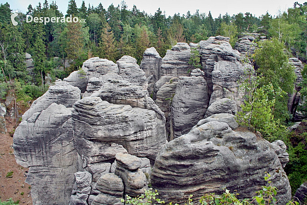 Prachovské skály (Česká republika)