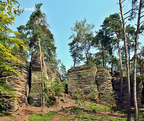 Prachovské skály (Česká republika)