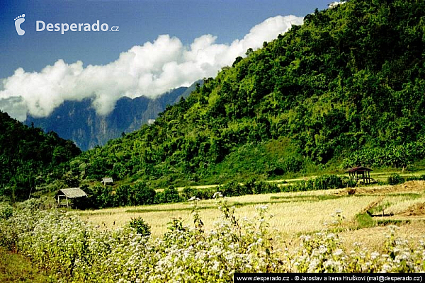 Vang Vieng (Laos)