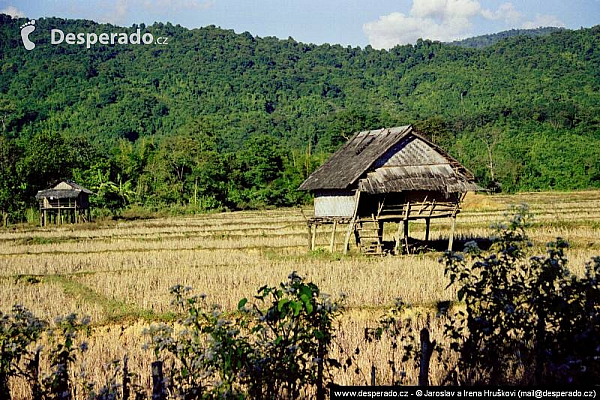 Vang Vieng (Laos)