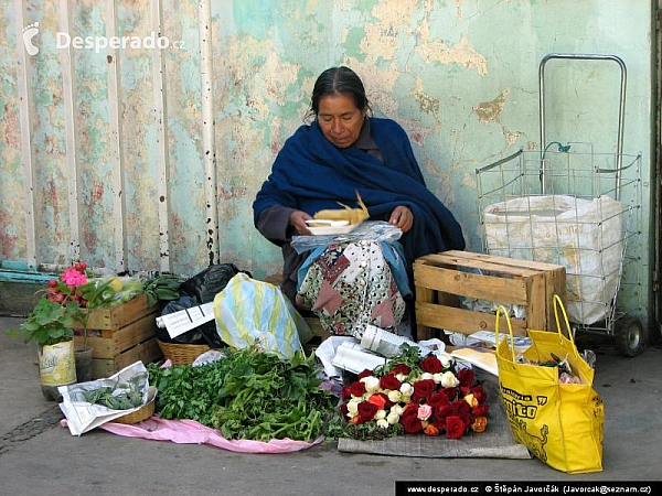 Oaxaca (Mexiko)