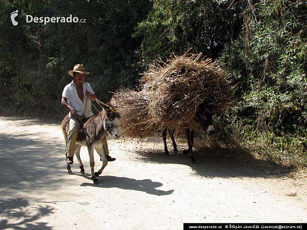 Oaxaca (Mexiko)