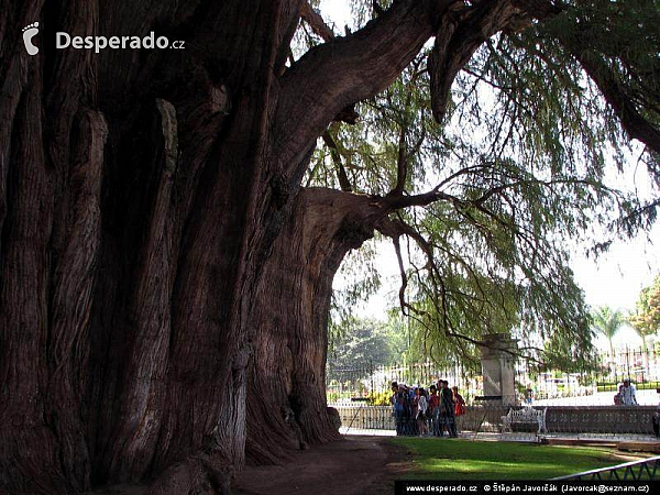 Mitla (Mexiko)