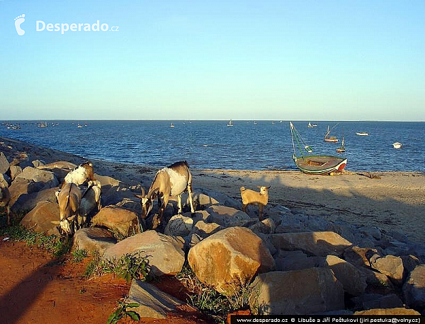 Maputo (Mosambik)