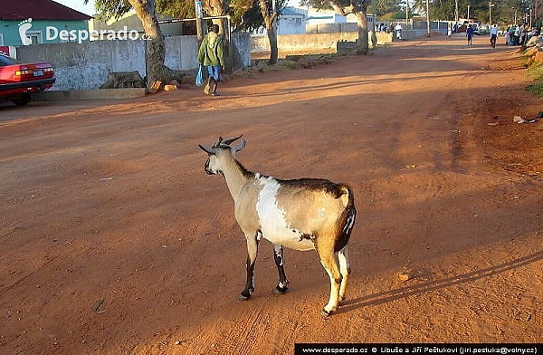 Maputo (Mosambik)