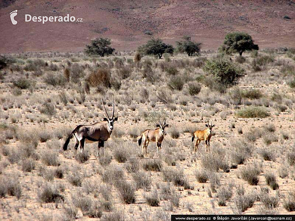 Namibie