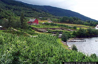 Utne (Norsko)