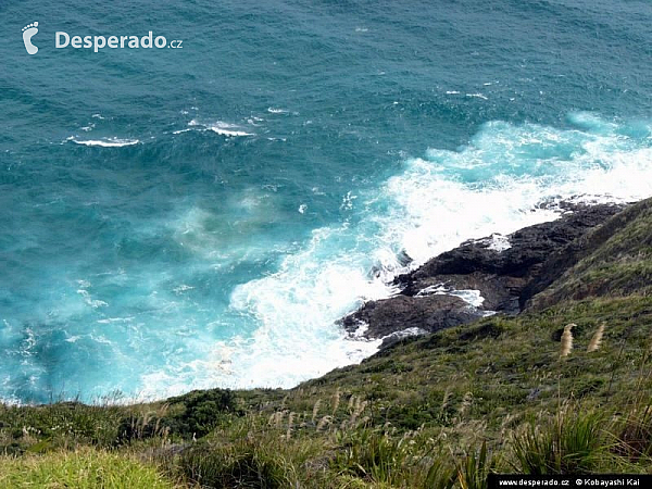 Cape Reinga (Nový Zéland)