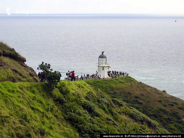 Cape Reinga (Nový Zéland)