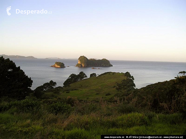 Coromandel (Nový Zéland)