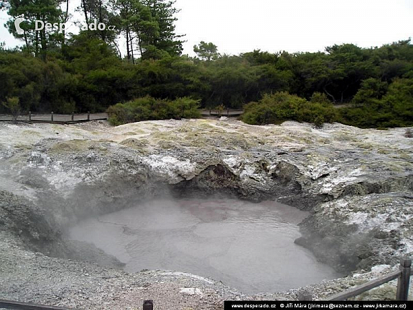 Rotorua (Nový Zéland)