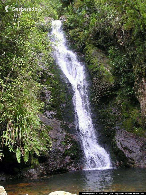 Coromandel (Nový Zéland)