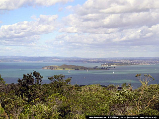 Auckland (Nový Zéland)