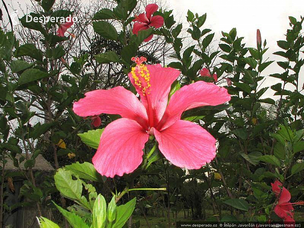 Santa Catalina (Panama)