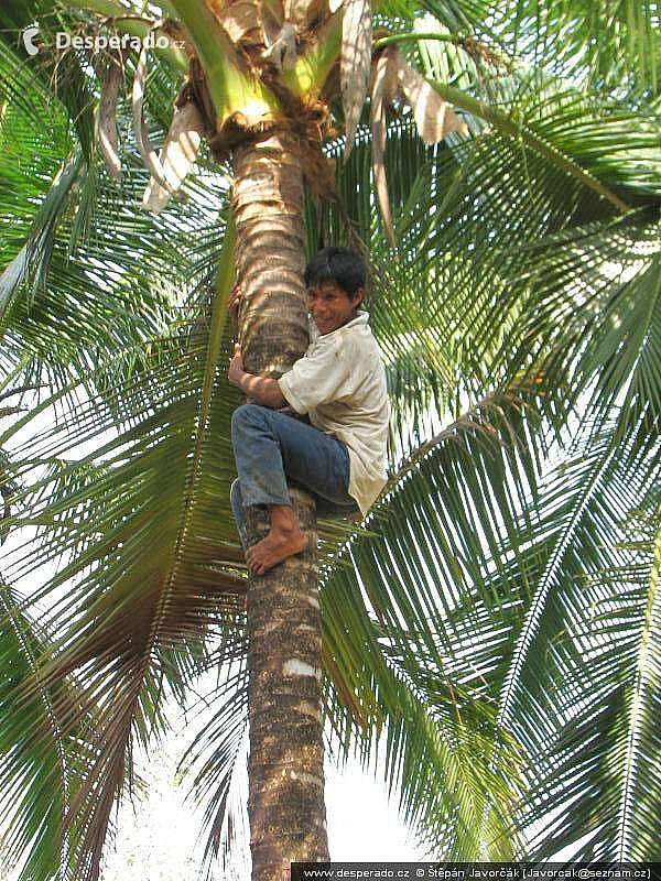 Yaviza (Panama)