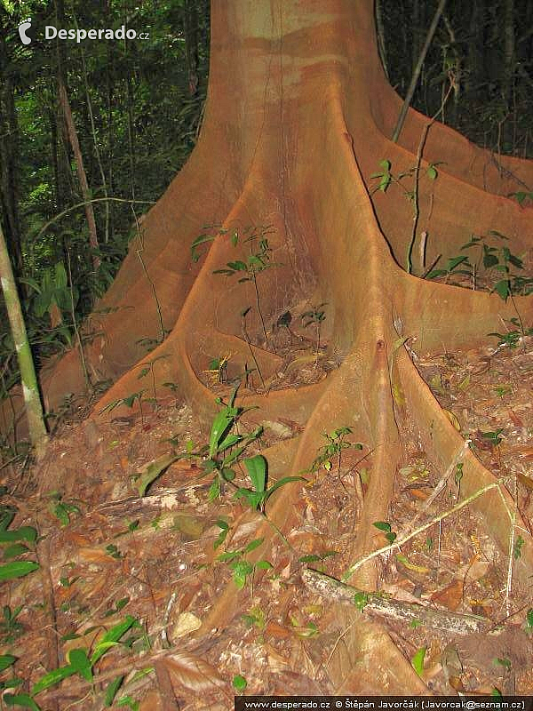 Darién Gap (Panama)