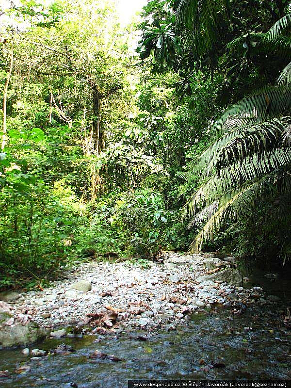 Darién Gap (Panama)