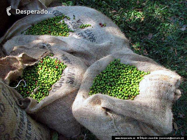 El Congo (Salvador)