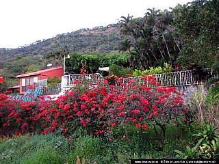 Lago de Coatepeque (Salvador)