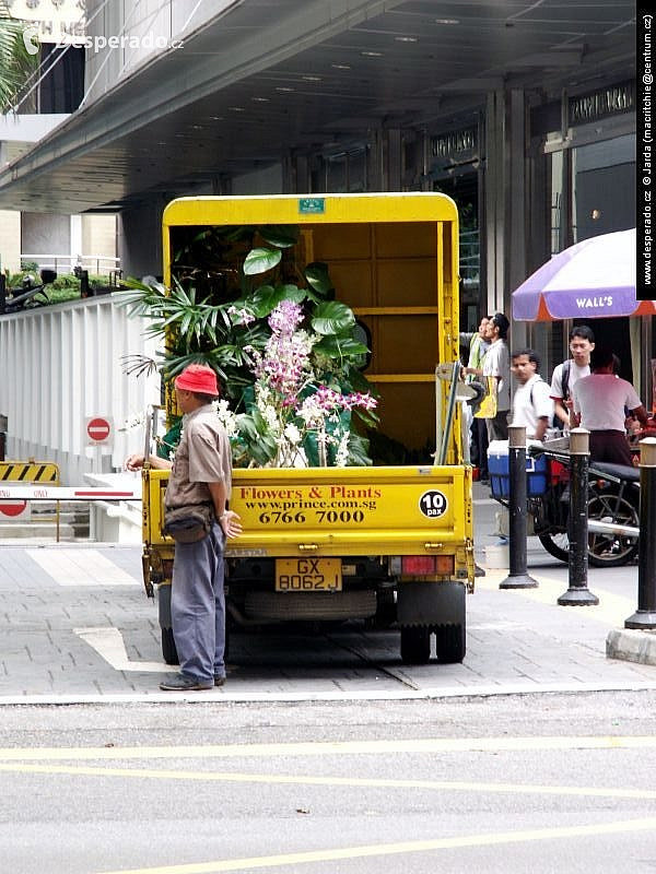 Singapur