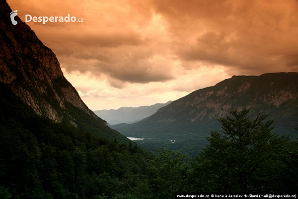 Bohinjské jezero (Slovinsko)