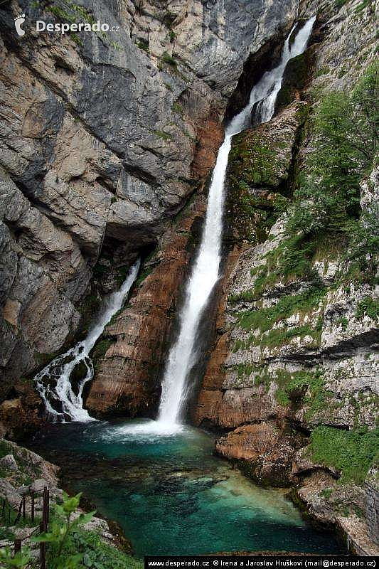 Bohinjské jezero (Slovinsko)