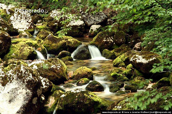 Bohinjské jezero (Slovinsko)