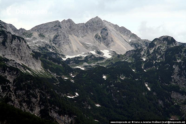 Bohinjské jezero (Slovinsko)