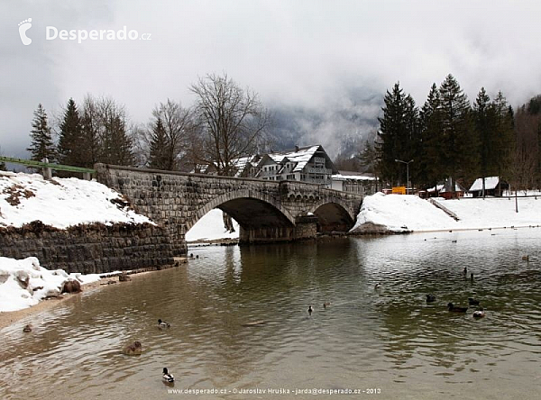 Bohinjské jezero (Slovinsko)