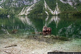 Bohinjské jezero (Slovinsko)