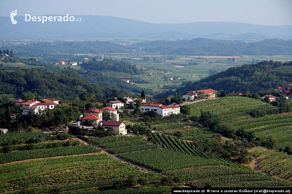 Goriška Brda (Slovinsko)