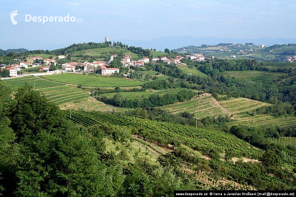 Goriška Brda (Slovinsko)