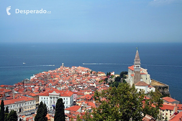 Piran (Slovinsko)