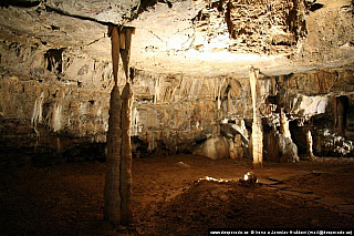 Postojna jama (Slovinsko)