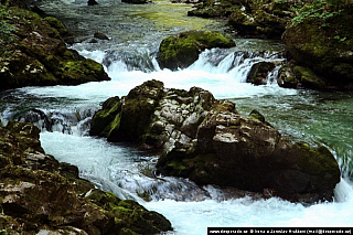 Soutěska Vintgar (Slovinsko)