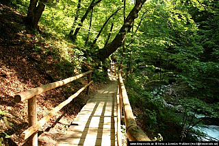 Soutěska Vintgar (Slovinsko)