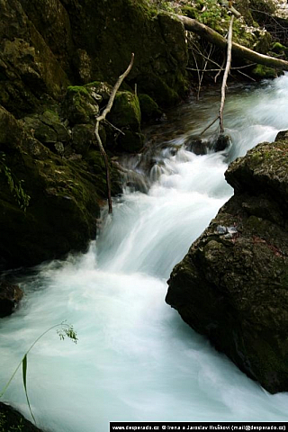 Soutěska Vintgar (Slovinsko)