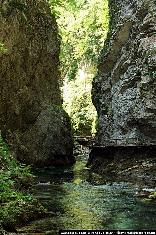 Soutěska Vintgar (Slovinsko)