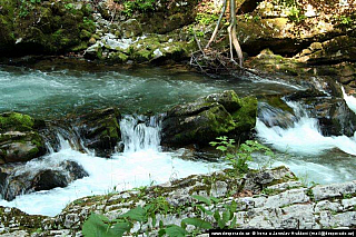 Soutěska Vintgar (Slovinsko)