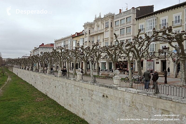 Burgos (Španělsko)