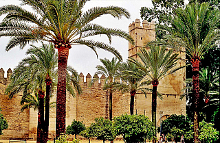 Córdoba (Andalusie - Španělsko)