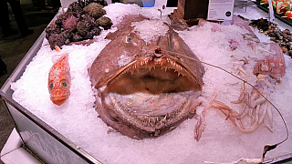 Tržiště Mercado de San Miguel v Madridu (Španělsko)