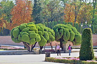 El Retiro Park v Madridu (Španělsko)