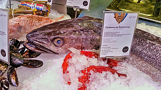 Tržiště Mercado de San Miguel v Madridu (Španělsko)